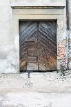 Vintage Photo of Old Wall with Doors-Milosz_G-Photographic Print