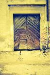 Vintage Photo of Old Wall with Doors-Milosz_G-Photographic Print