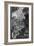 Milton's Paradise Lost by William Hogarth-William Hogarth-Framed Giclee Print