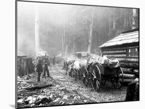 Milwaukee Road Construction Camp, Circa 1906-Asahel Curtis-Mounted Giclee Print