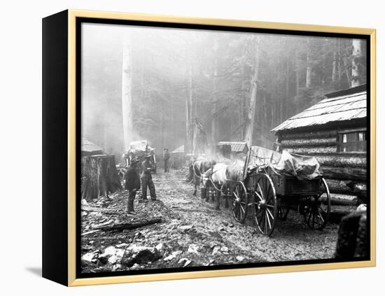 Milwaukee Road Construction Camp, Circa 1906-Asahel Curtis-Framed Premier Image Canvas