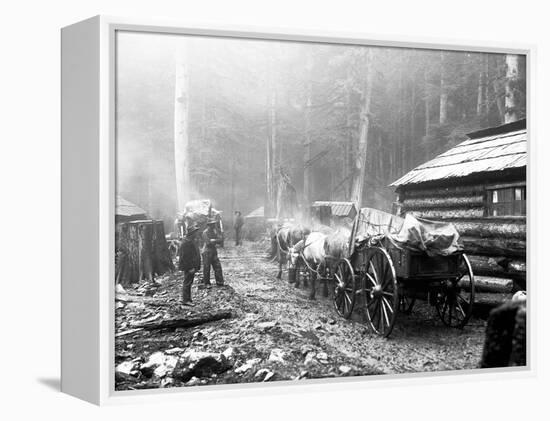 Milwaukee Road Construction Camp, Circa 1906-Asahel Curtis-Framed Premier Image Canvas