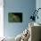 Mimas Tiliae (Lime Hawk Moth)-Paul Starosta-Photographic Print displayed on a wall