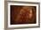 Mimesisii-Nadja Berberovic-Framed Photographic Print