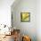 Mimosa Mist-Irene Suchocki-Giclee Print displayed on a wall