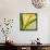 Mimosa Mist-Irene Suchocki-Giclee Print displayed on a wall