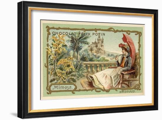 Mimosa, Monaco-null-Framed Giclee Print