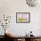 Mimosa Tree Blossom IV-Kathy Mahan-Framed Photographic Print displayed on a wall