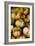 Minature Pumpkins For Sale-Ron Koeberer-Framed Photographic Print