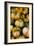 Minature Pumpkins For Sale-Ron Koeberer-Framed Photographic Print