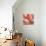 Mindful Peachy I-Susan Bryant-Mounted Art Print displayed on a wall