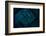 Mindfulness-Doug Chinnery-Framed Photographic Print