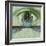 Minds Eye-Anthony Freda-Framed Giclee Print