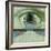 Minds Eye-Anthony Freda-Framed Giclee Print