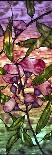 Stained Glass Orchids-Mindy Sommers-Giclee Print