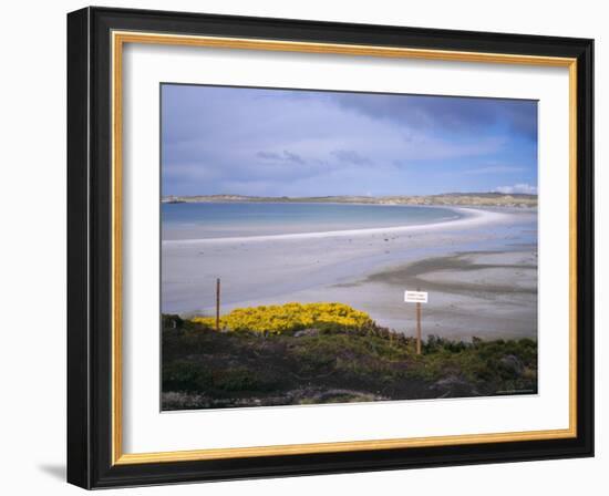 Mined Beach from the Falkland War, Near Stanley, Falkland Islands, South America-Geoff Renner-Framed Photographic Print