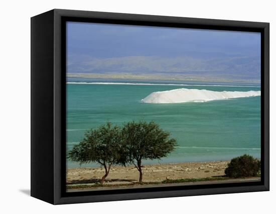 Mined Sea Salt at Shallow South End of the Dead Sea Near Ein Boqeq, Israel, Middle East-Robert Francis-Framed Premier Image Canvas