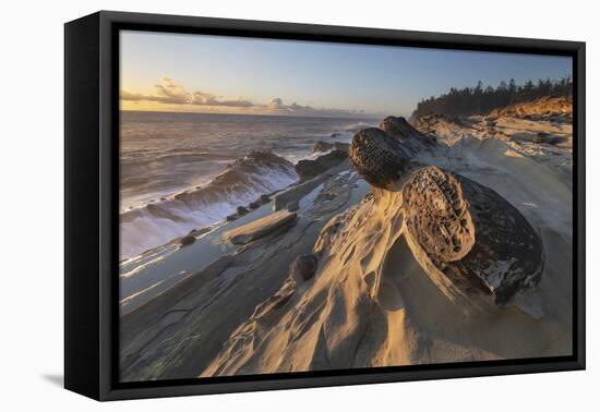 Mineral concretions at Shore Acres State Park, Oregon.-Alan Majchrowicz-Framed Premier Image Canvas