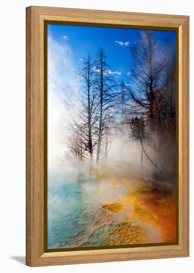 Mineral Pool in Summer-Howard Ruby-Framed Premier Image Canvas