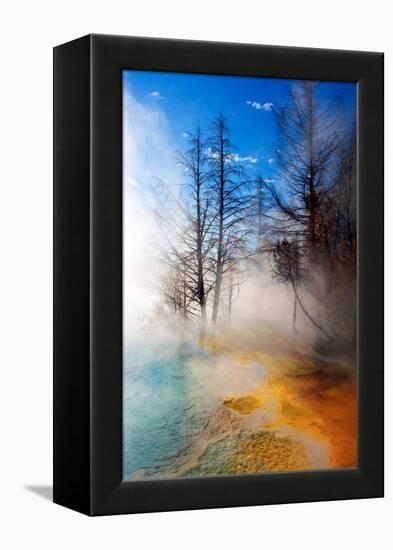 Mineral Pool in Summer-Howard Ruby-Framed Premier Image Canvas