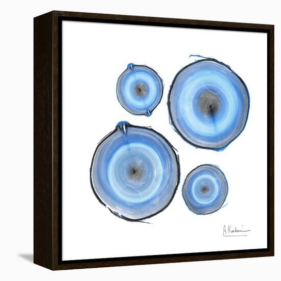 Mineral Rings 1-Albert Koetsier-Framed Stretched Canvas