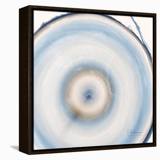 Mineral Rings 3 Soft-Albert Koetsier-Framed Stretched Canvas