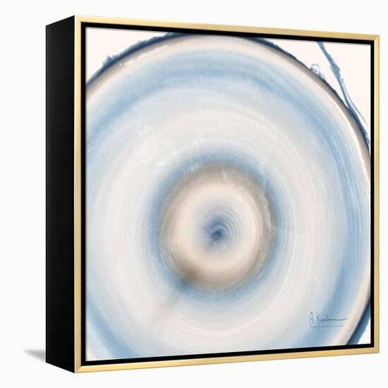 Mineral Rings 3 Soft-Albert Koetsier-Framed Stretched Canvas