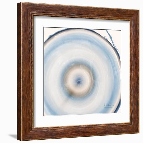 Mineral Rings 3 Soft-Albert Koetsier-Framed Art Print