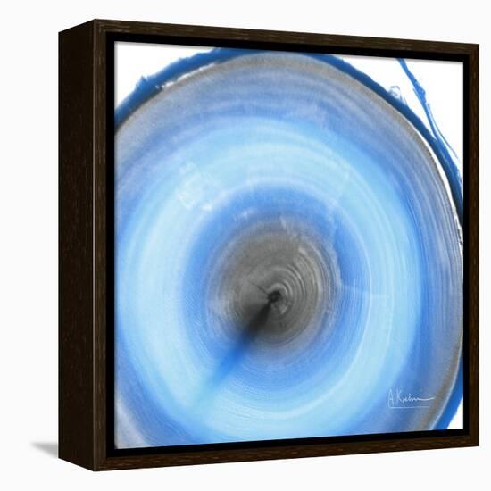 Mineral Rings 3-Albert Koetsier-Framed Stretched Canvas