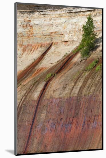 Mineral Seep with Pine Tree Growing, Lake Superior, Pictured Rocks National Lakeshore, Michigan-Judith Zimmerman-Mounted Photographic Print