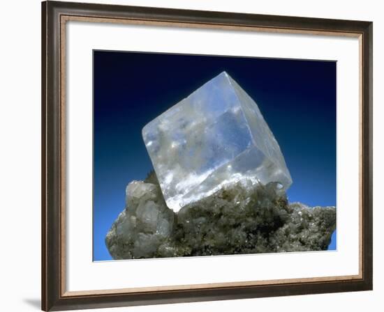 MineralCalendar: Halite. Eisleben, Germany-null-Framed Photographic Print