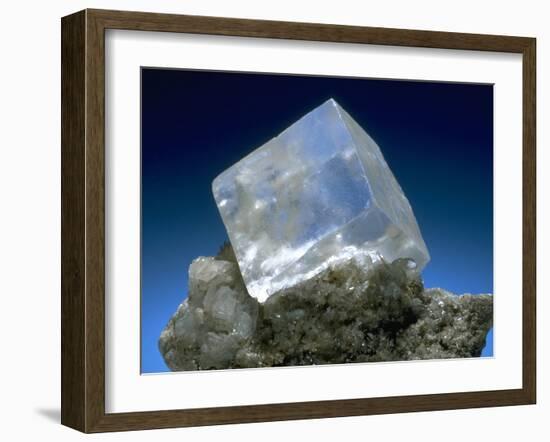 MineralCalendar: Halite. Eisleben, Germany-null-Framed Photographic Print