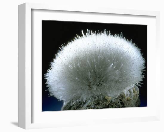 MineralCalendar: Mesolite. Poona, India-null-Framed Photographic Print