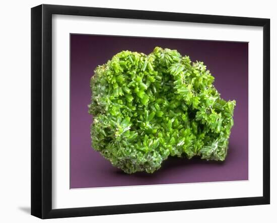 MineralCalendar: Pyromorphite. Ussel, France-null-Framed Photographic Print