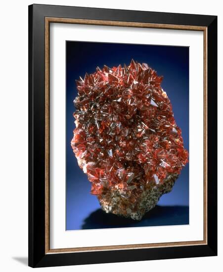 MineralCalendar: Rhodochrosite. South Africa-null-Framed Photographic Print