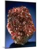 MineralCalendar: Rhodochrosite. South Africa-null-Mounted Photographic Print