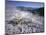 Minerva Spring, Mammoth Hot Springs, Yellowstone National Park, Wyoming-Geoff Renner-Mounted Photographic Print