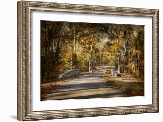 Mingling with Beauty-Jai Johnson-Framed Giclee Print