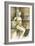 Mini- Contemporary Seated Nude I-Jennifer Goldberger-Framed Art Print