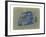 Mini Cooper-NaxArt-Framed Art Print