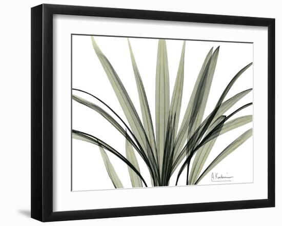 Mini Palm Tree-Albert Koetsier-Framed Art Print