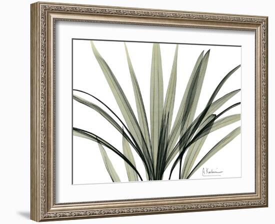 Mini Palm Tree-Albert Koetsier-Framed Art Print