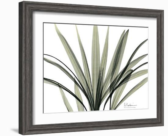 Mini Palm Tree-Albert Koetsier-Framed Art Print