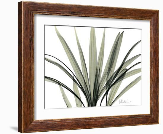 Mini Palm Tree-Albert Koetsier-Framed Art Print