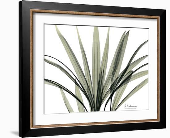 Mini Palm Tree-Albert Koetsier-Framed Art Print