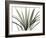 Mini Palm Tree-Albert Koetsier-Framed Art Print