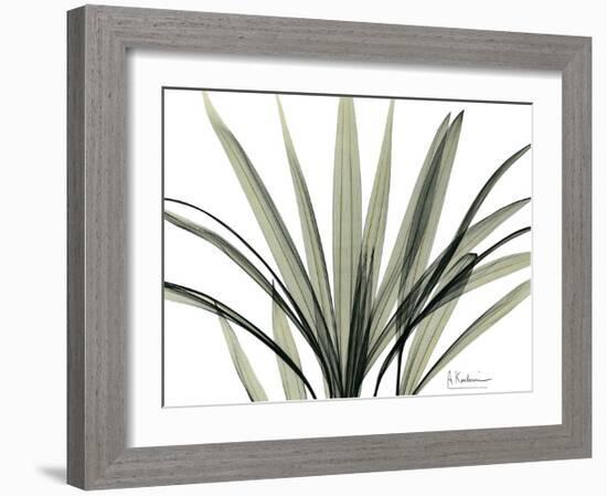 Mini Palm Tree-Albert Koetsier-Framed Art Print