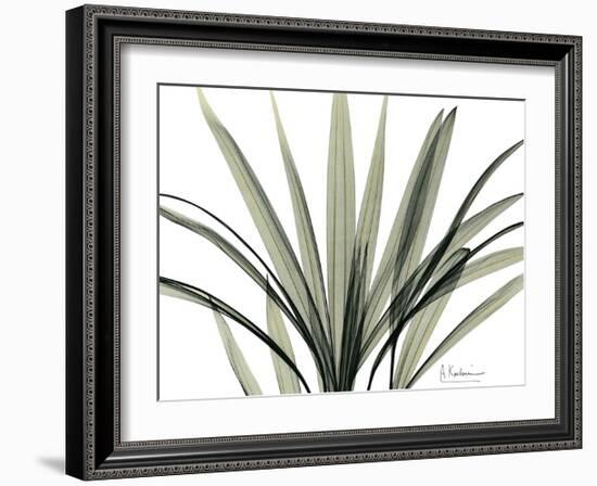 Mini Palm Tree-Albert Koetsier-Framed Art Print