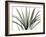 Mini Palm Tree-Albert Koetsier-Framed Art Print