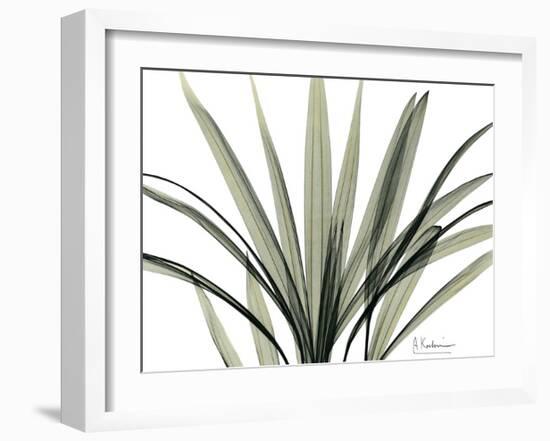 Mini Palm Tree-Albert Koetsier-Framed Art Print